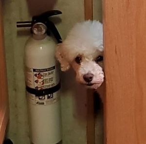 Meet your Posher, John